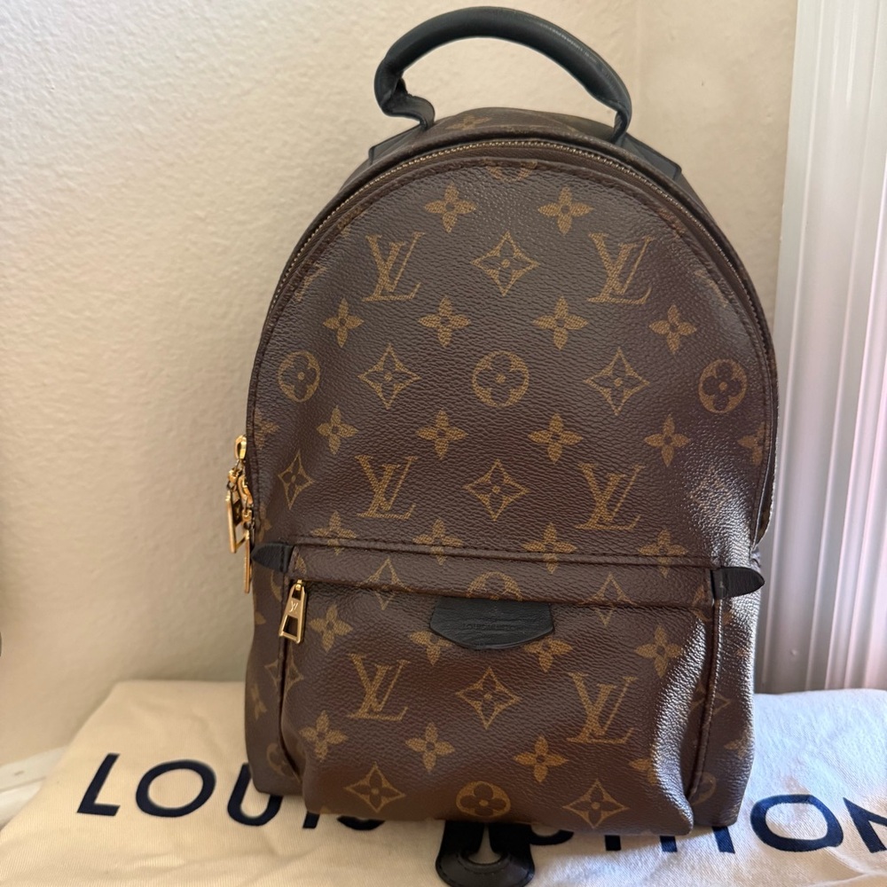 Louis Vuitton Palm Springs PM backpack - Picture 3 of 17